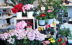母の日 ギフト Soel Flowers
