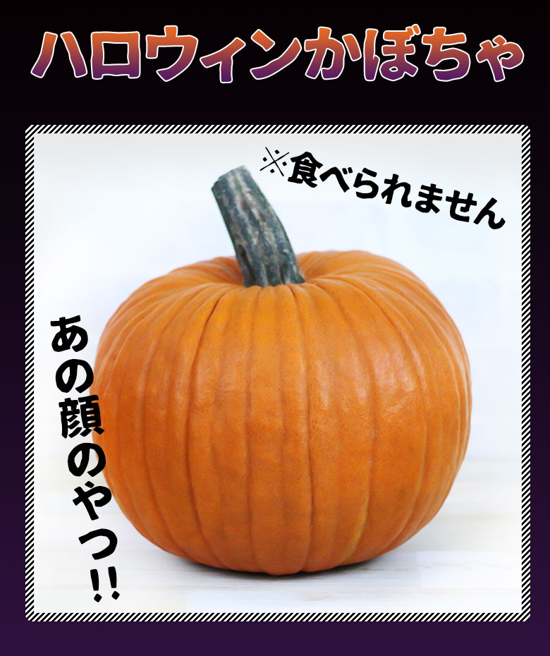 ハロウィンかぼちゃ(本物)ジャックオーランタン⑧-