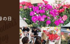 豊橋 花屋 母の日 2018